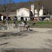 Ghalitiaret up 3 