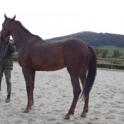 Nesquik de lavalette 3