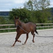 Nesquik de lavalette 4