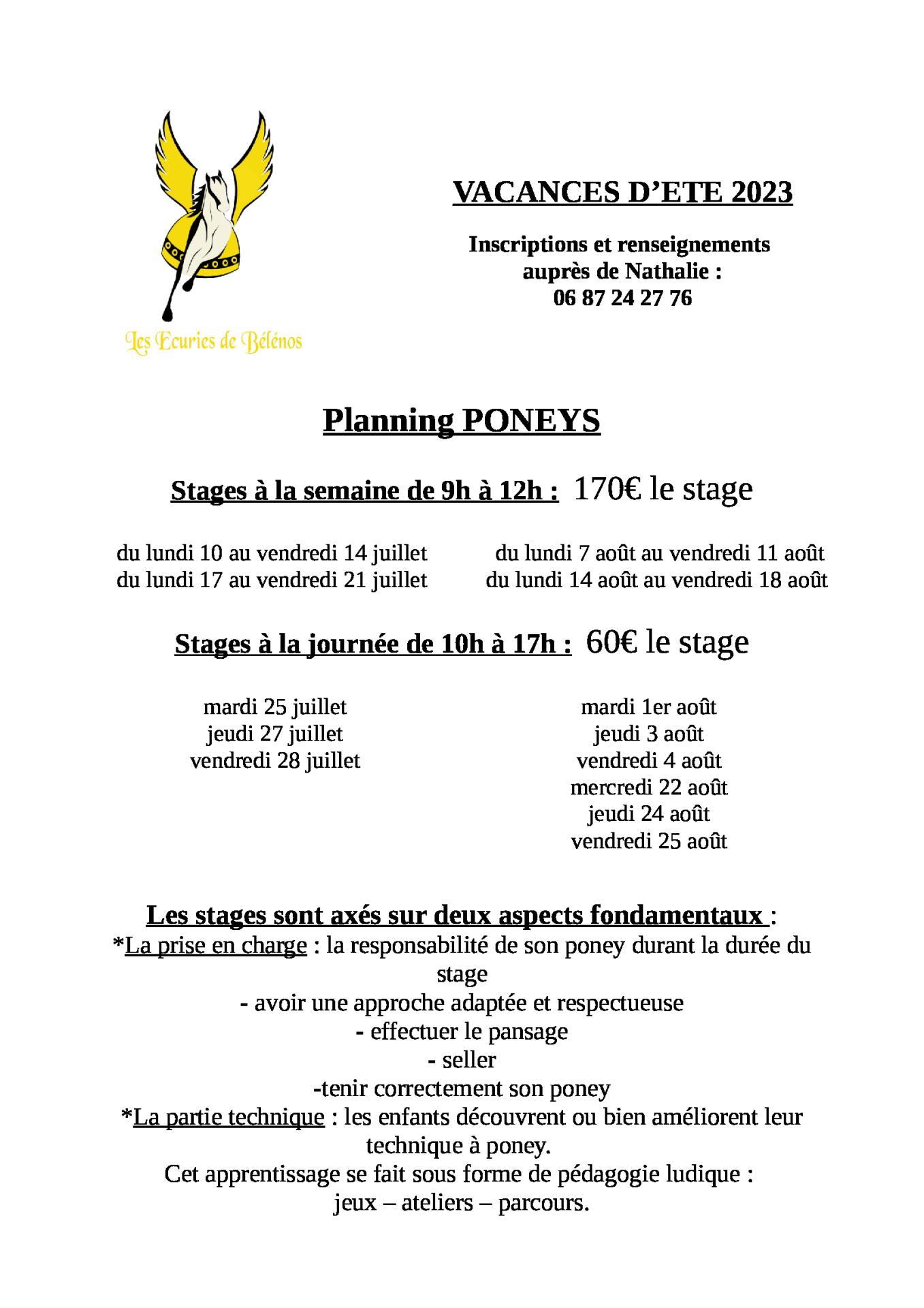 Vacances ete 2023 poneys 1